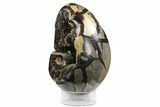 Septarian Dragon Egg Geode - Yellow Calcite Formations #125978-2